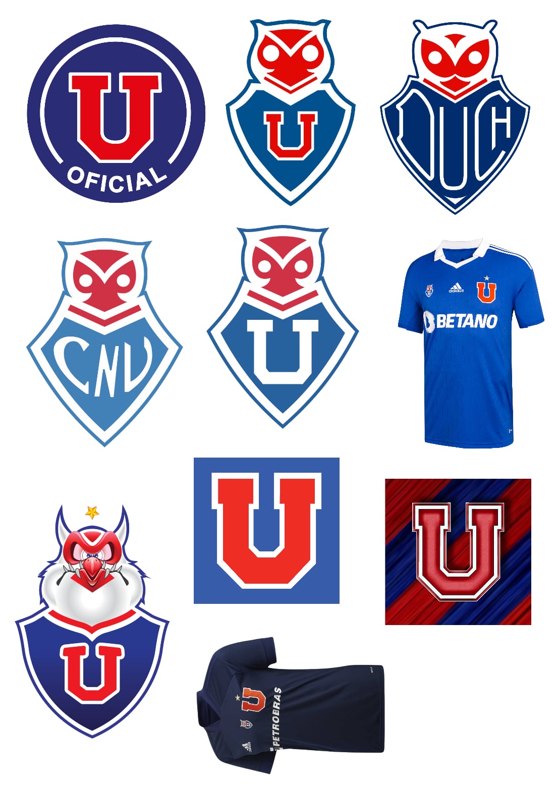 PACK DIGITAL UNIVERSIDAD DE CHILE - 50 UNIDADES DIFERENTES