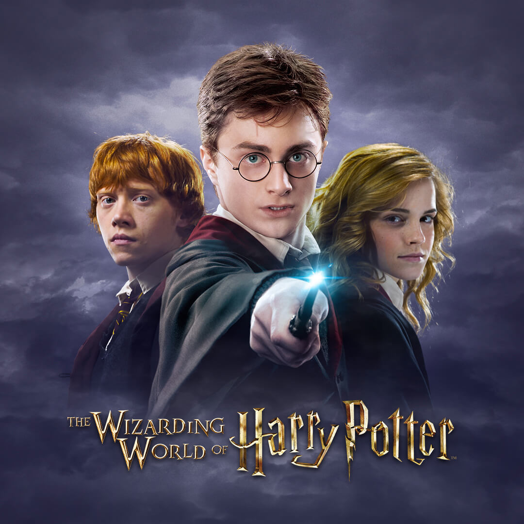 PACK DIGITAL HARRY POTTER - 170 UNIDADES DIFERENTES